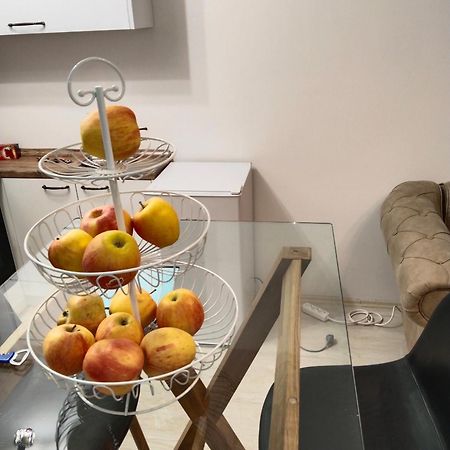 Sandra Apartmani ヴルシャツ エクステリア 写真